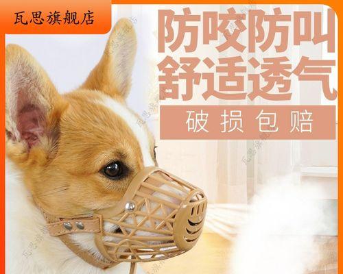 人吃小狗崽营养好吗（探究以宠物为食的争议）