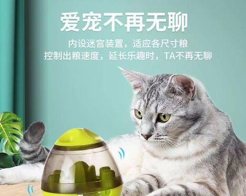 如何正确抓猫咪，轻松避免被咬（掌握正确的方式）