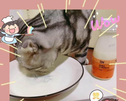 五个月小狗饮食指南（宠物爱好者必看）