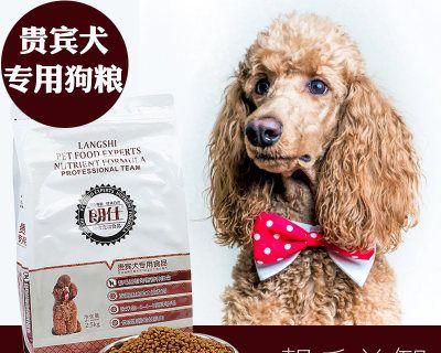 如何合理给五斤雪纳瑞喂食（掌握正确的狗粮喂养方法）