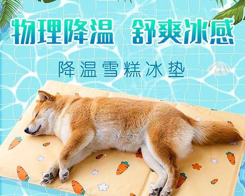 夏天狗狗睡眠大揭秘（如何为宠物提供舒适的睡眠环境）