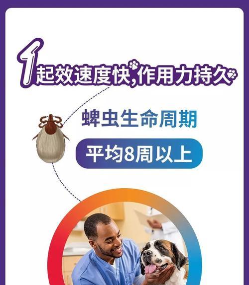 夏天狗狗体外驱虫能管多少天（宠物健康需注意的体外驱虫时间）