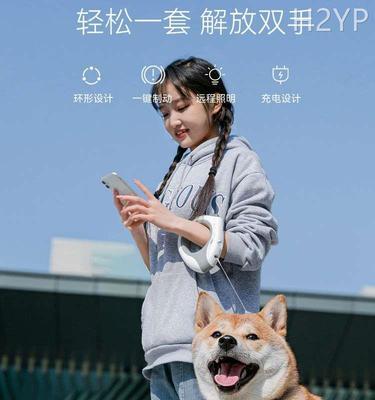 夏季遛狗注意事项（如何让宠物在夏天愉快地散步）