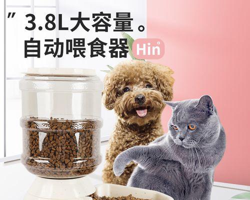 如何合理喂养小狗（一只小狗20天需要喝几次水）