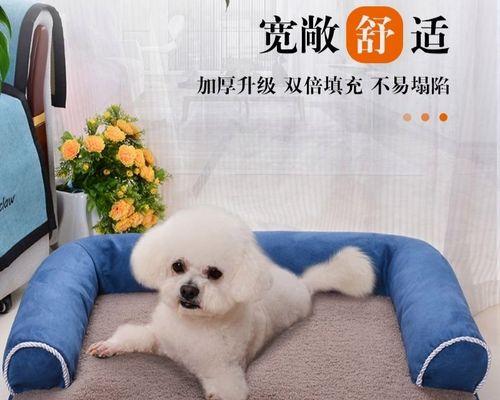 小狗不肯睡狗窝怎么办（掌握6个技巧让爱犬入睡于狗窝）