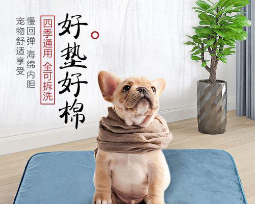 小狗不肯睡狗窝怎么办（掌握6个技巧让爱犬入睡于狗窝）