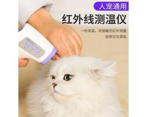 宠物小狗的正常体温（了解小狗狗的体温对它的健康有益）