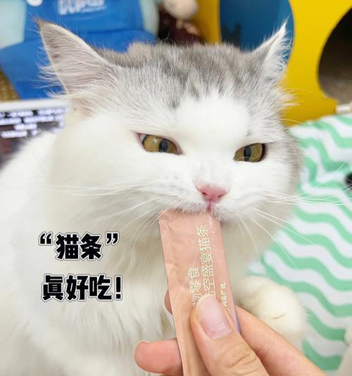 小狗能否吃亚麻籽（了解亚麻籽对宠物的影响）