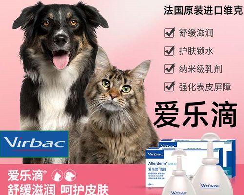 小狗皮肤病药物治疗指南（全面解析宠物皮肤病治疗方案）