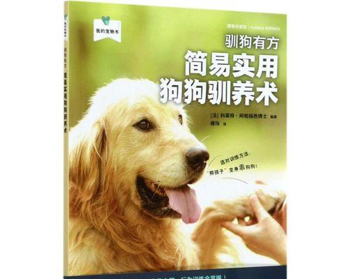 小狗饮食控制（以宠物为主）