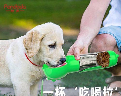 小狗崽拉绿大便，原因与处理方法解析（以宠物为主）