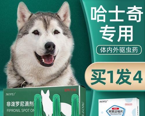 小狗崽驱虫不良反应（宠物常见不良反应及预防方法）