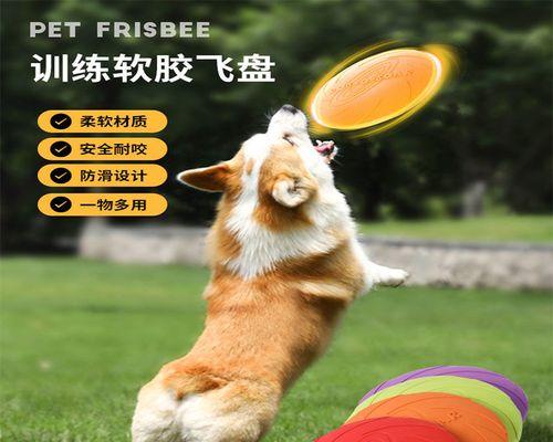 让宠物狗听话的有效方法（以狗咬主人为例）