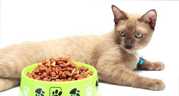 混着猫粮一起吃，让宠物更健康（探秘宠物对不同猫粮的偏好）
