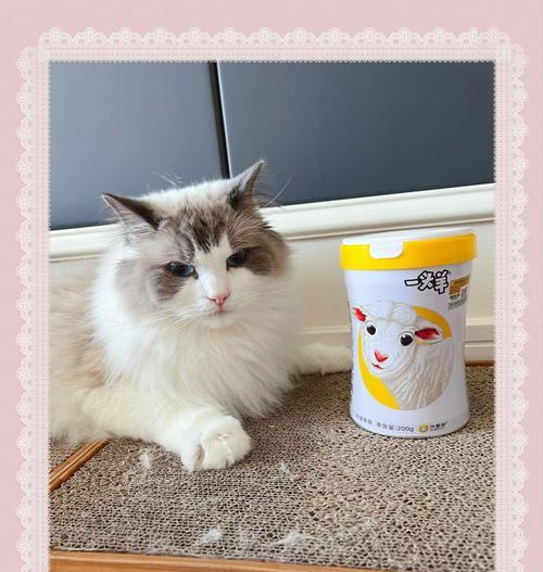 宠物喝羊奶粉？这个牌子最适合猫！