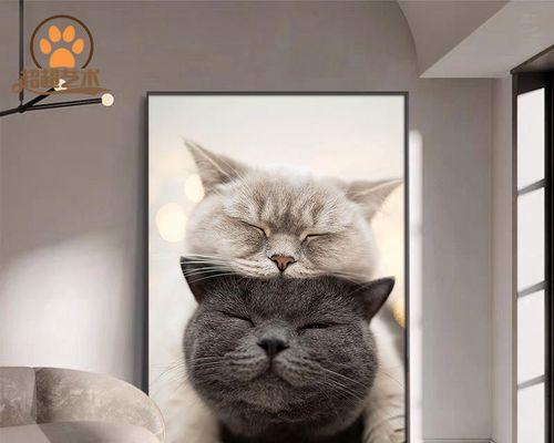 为什么猫咪总是对着墙（探究猫咪行为中的奥秘）