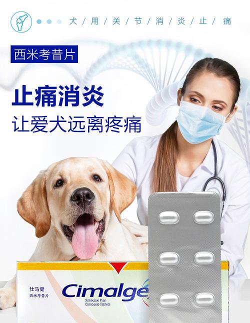 猫咪关节炎应该如何治疗（药物治疗是最有效的选择）