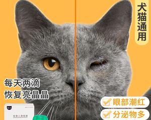 猫咪喉咙发炎药物治疗指南（以宠物为主）
