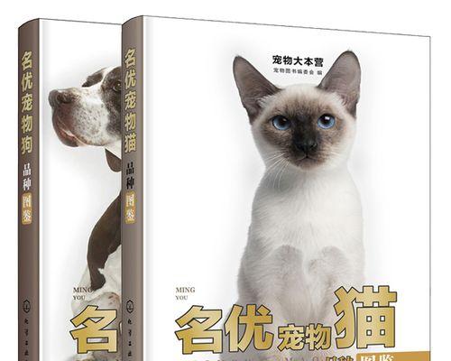 猫咪的饮食之道——喂养它们最喜欢的食物（为宠物猫咪提供多元化饮食）