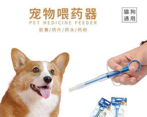 猫咪的饮食之道——喂养它们最喜欢的食物（为宠物猫咪提供多元化饮食）