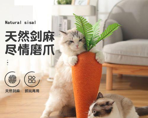 猫咪磨爪子的真正含义（揭秘猫咪磨爪子背后的秘密）