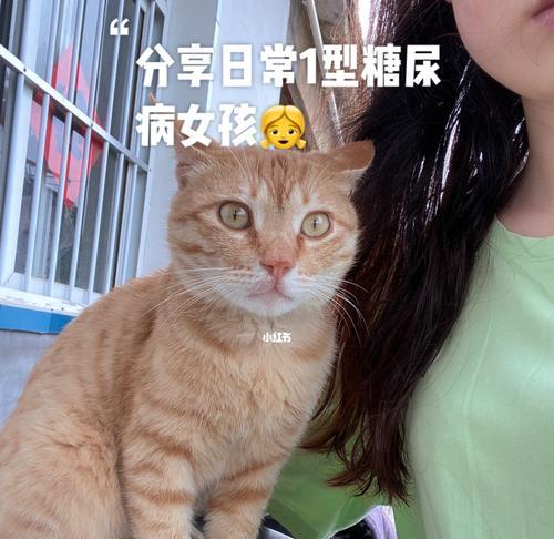 宠物猫咪的糖尿病症状及预防措施（如何识别糖尿病）