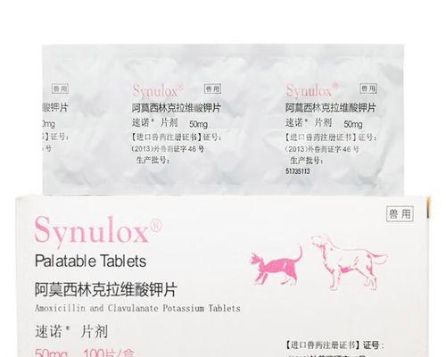 如何给患有猫咪胃肠炎的宠物打消炎针（胃肠炎治疗中的必要措施与注意事项）