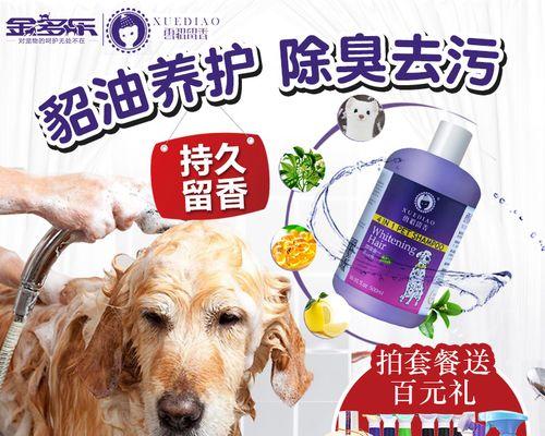 如何为宠物猫咪洗澡（宠物洗澡小技巧）