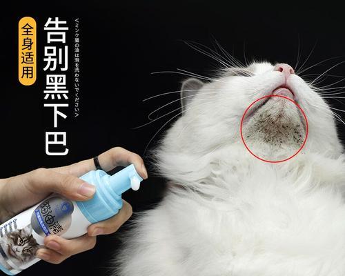 猫咪洗澡呛水怎么办（保护宠物健康）