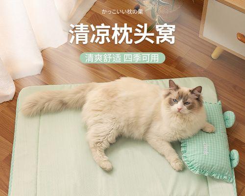 夏季宠物护理指南——应对猫咪拉稀问题（猫咪夏天拉稀怎么办）