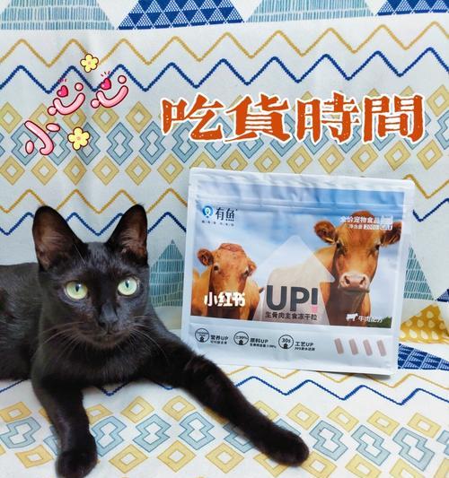 营养均衡的猫咪饮食（以宠物为主）
