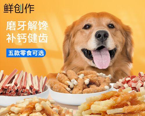 如何给产后母狗补钙（宠物的骨骼健康需关注）