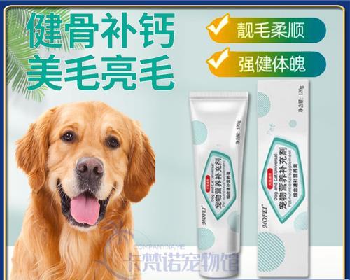 如何让你的宠物狗拥有健康的肠胃（15种简单方法让你的狗狗舒服不胀气）