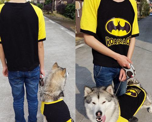 探秘泰迪大型犬（深入了解泰迪大型犬的起源）