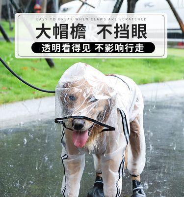 狗狗突然站不起来了，该如何应对（突发情况下如何保护宠物健康）