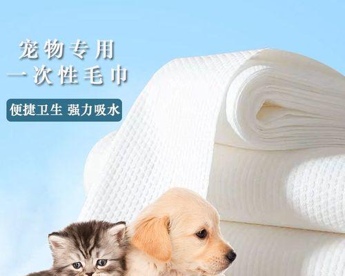 如何给脱毛的狗狗洗澡（掌握正确方法）