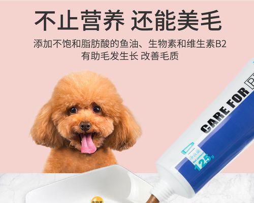 狗狗营养膏（探究狗狗营养膏的作用）