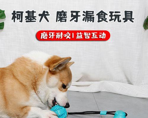 如何进行宠物心脏复苏——以狗狗为例（急救必备）