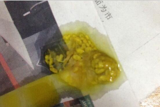 宠物拉稀处理全攻略（以狗拉稀像水为例）