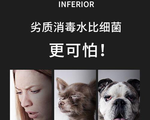 宠物狗尿黄怎么办（从饮食、水源到健康问题全方位解决）