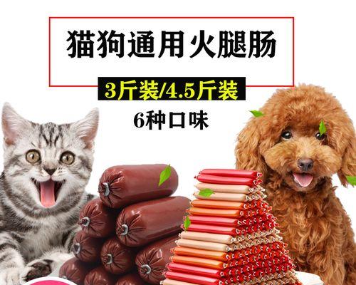 狗的饮水习惯及作用（从健康、行为到性格）