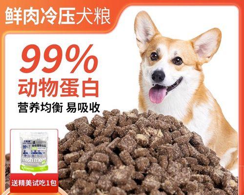 贵宾狗狗粮的选择与养护（了解贵宾狗）