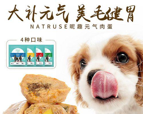 如何选择适合贵宾犬的狗粮（了解贵宾犬的饮食需求）
