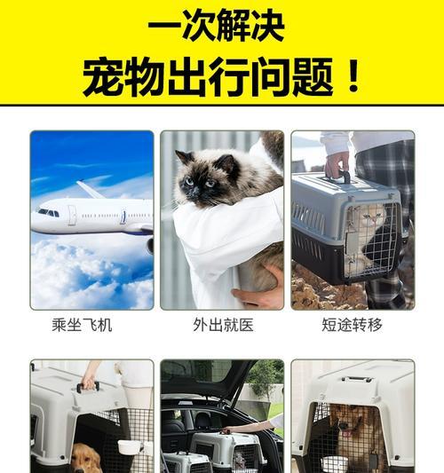 国航宠物托运流程（详细介绍以国航为例）