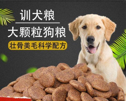以金毛适合的狗粮（选择最佳的狗粮品牌）