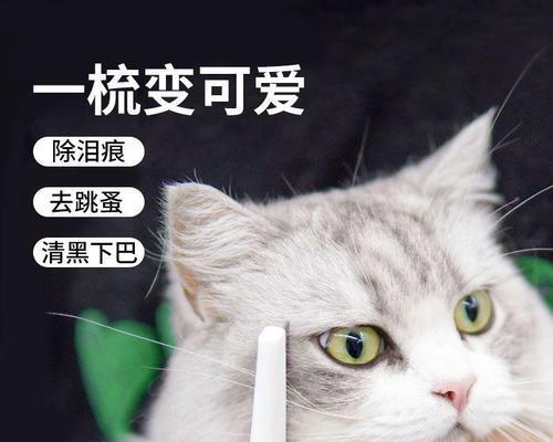 了解宠物打疫苗的费用和注意事项（了解宠物打疫苗的费用和注意事项）