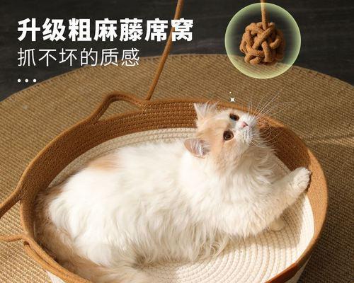 如何为患有肾病的宠物猫选择合适的食物（为您的宠物猫提供健康饮食的关键）