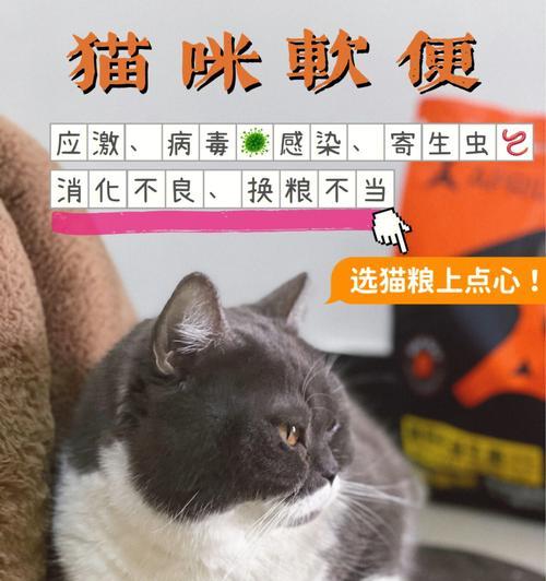 猫咪软便吃什么猫粮最好（探究以猫粮为主的软便猫咪的饮食选择和饲养方法）