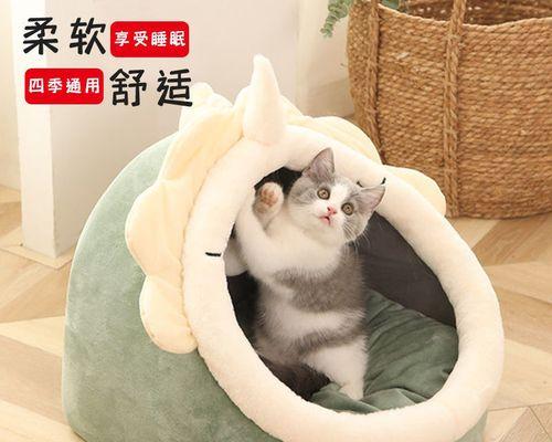 宠物的饮食与健康——以猫咪吃什么长骨架为例（探讨猫咪饮食中对骨架发育的影响及如何选择合适的食物）