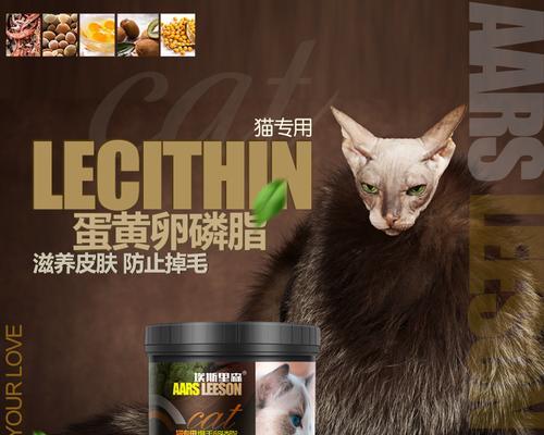 为什么以猫咪多大吃营养膏是重要的（宠物猫的健康和幸福靠它）